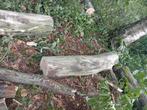 Party hout, Tuin en Terras, Brandhout, Ophalen