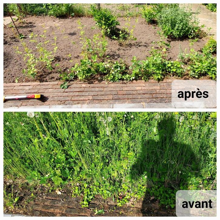 Tuinwerkzaamheden Volledig onderhoud van uw groene ruimten, Diversen, Overige Diversen