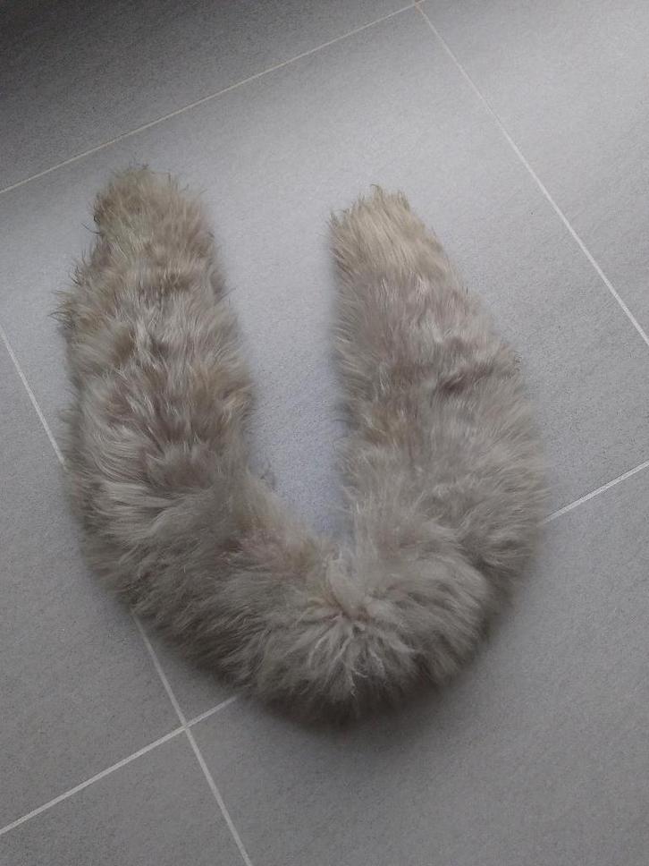 Grijze sjaal, Kleding | Dames, Mutsen, Sjaals en Handschoenen, Gedragen, Sjaal, Ophalen of Verzenden