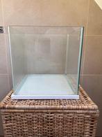 Aquarium te koop, Enlèvement, Utilisé