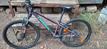 Vtt Orbea MX 24, Enlèvement, Comme neuf