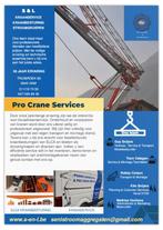 grue de chantier, Articles professionnels, Machines & Construction | Grues & Excavatrices, Enlèvement, Grue