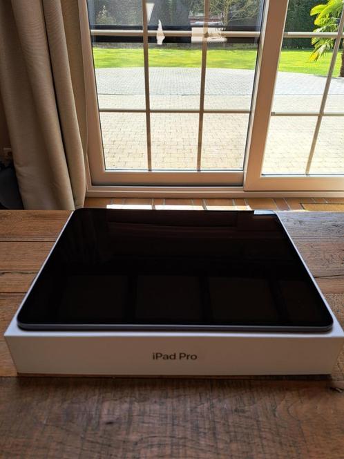 Ipad Pro 12,9 inch | 256GB | 3e generatie, Computers en Software, Apple iPads, Gebruikt, Apple iPad, Wi-Fi, 12 inch, 256 GB, Grijs