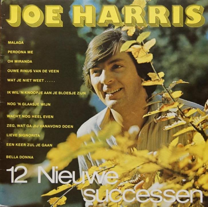 †JOE HARRIS: LP "12 Nieuwe successen", Cd's en Dvd's, Vinyl | Nederlandstalig, Ophalen of Verzenden