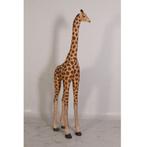 Giraffe 8 ft. – Giraf beeld Hoogte 230 cm, Enlèvement ou Envoi, Neuf