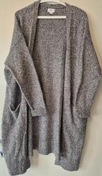 Open lange vest Old Navy maat 50/52, Kleding | Dames, Grote Maten, Ophalen of Verzenden, Zo goed als nieuw, Grijs, Trui of Vest