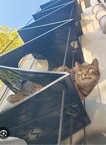 Vouwbare kattenladder van ca. 4 meter lang  beschikbaar voor biedingen