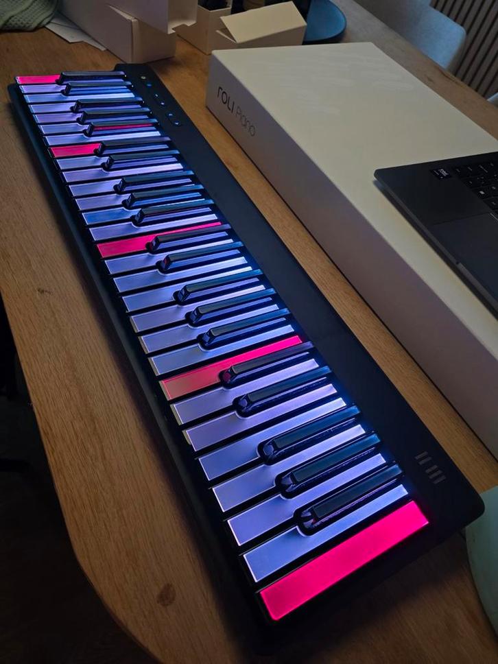 Roli piano met pedaal, Musique & Instruments, Pianos, Enlèvement