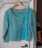 Prachtig pluizig vest large., Ophalen of Verzenden, Gedragen, Maat 42/44 (L), Blauw