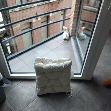 Tafel met klapstoelen en kussens beschikbaar voor biedingen