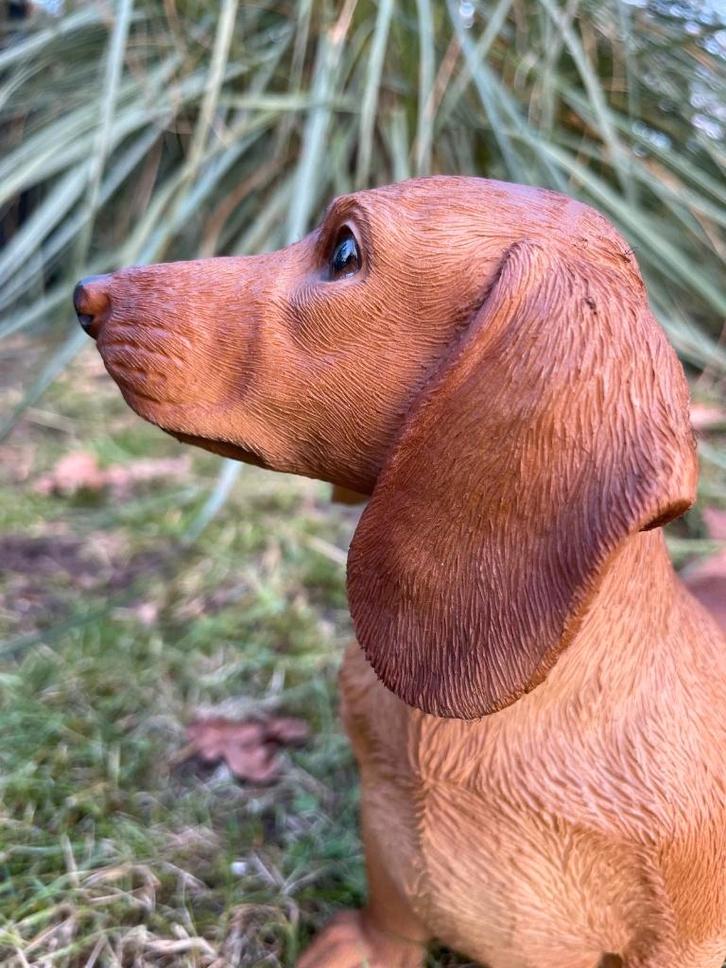 Image teckel, teckel, chien, jardin, pelouse 30 cm, Jardin & Terrasse, Statues de jardin, Neuf, Animal, Synthétique, Enlèvement ou Envoi