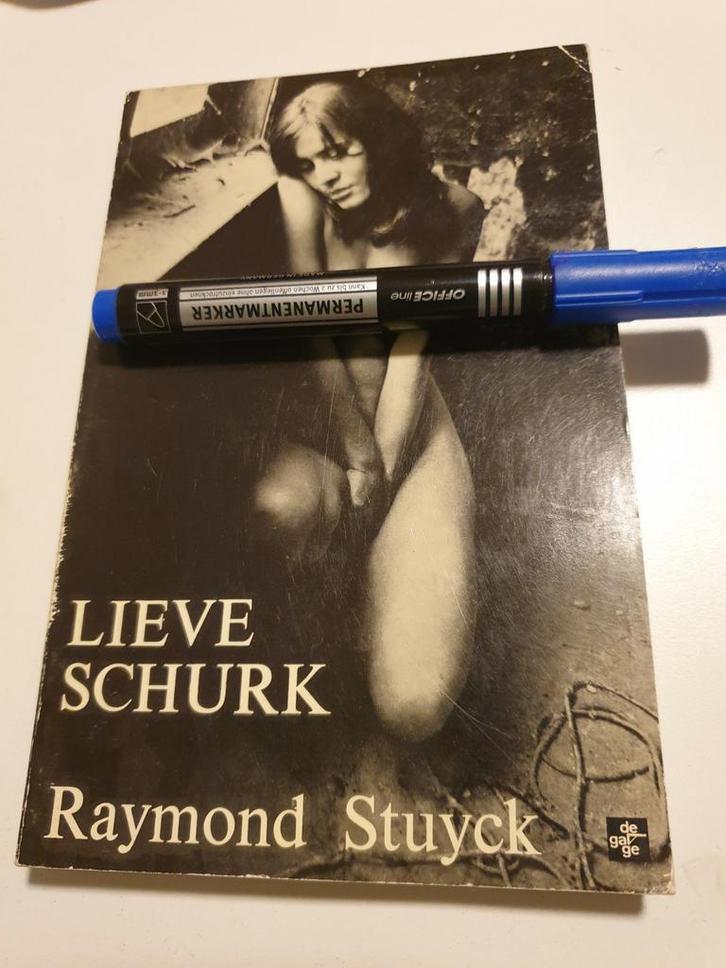 LIEVE SCHURK 1973 Raymond Stuyck cover ROGER DYCKMANS, Boeken, Overige Boeken, Gelezen, Ophalen of Verzenden
