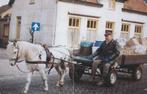 Wim Steenbergen, paard met kar   1931-2001, Collections, Images pieuses & Faire-part, Enlèvement ou Envoi
