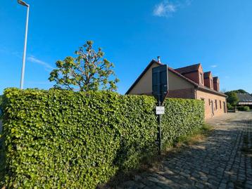Huis te koop in Holsbeek, 4 slpks beschikbaar voor biedingen