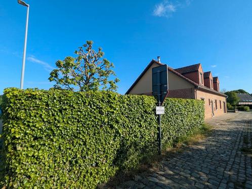 Huis te koop in Holsbeek, 4 slpks, Immo, Huizen en Appartementen te koop, Vrijstaande woning