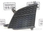 Scania Body & Chassis Parts Grille rooster Scania, Autos : Pièces & Accessoires, Enlèvement, Utilisé, Scania, Carrosserie et Tôlerie