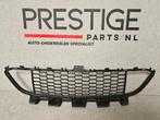 Midden Rooster BMW 3 Serie F30 F31 M Pakket 51118054136 ORIG, Auto-onderdelen, Gebruikt, Voor, Herkomst onderdeel bekend, Ophalen of Verzenden