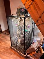 Terrarium/vivarium/reptiles, Animaux & Accessoires, Enlèvement, Utilisé