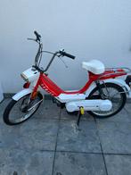 Honda camino DX pa50m klasse A Vario 6bil, Fietsen en Brommers, Ophalen, Klasse A (25 km/u), 49 cc