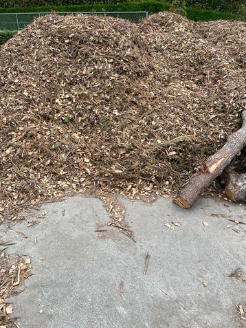 Hakseling beschikbaar voor biedingen