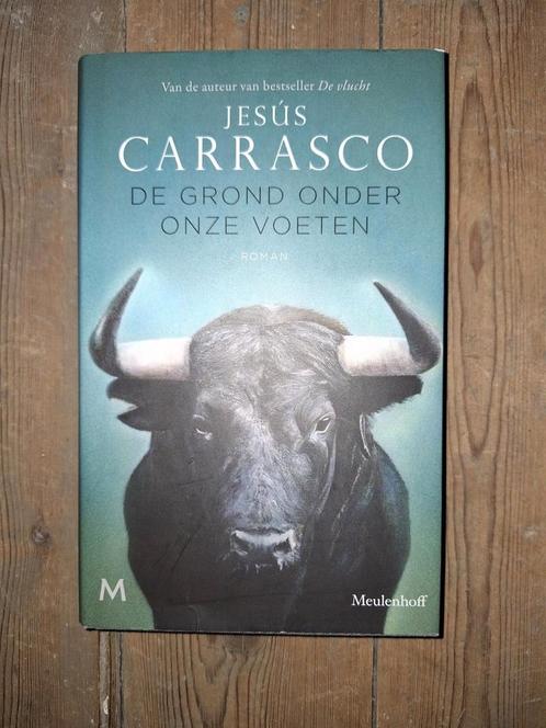 Jesús Carrasco - De grond onder onze voeten, Boeken, Literatuur, Zo goed als nieuw, Ophalen of Verzenden