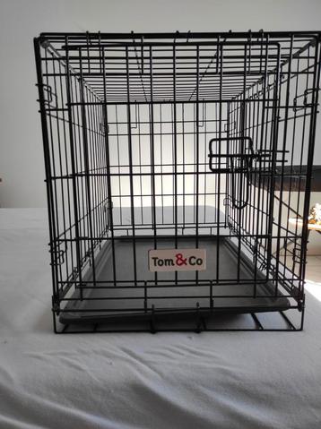 Honden bench Tom & co beschikbaar voor biedingen