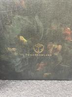 Doosje met in houdt van Tomorrowland 2024
