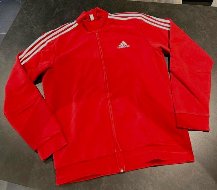 Veste survêtement homme Adidas - Medium - Flash Red, Kleding | Heren, Sportkleding, Zo goed als nieuw, Algemeen, Maat 48/50 (M)