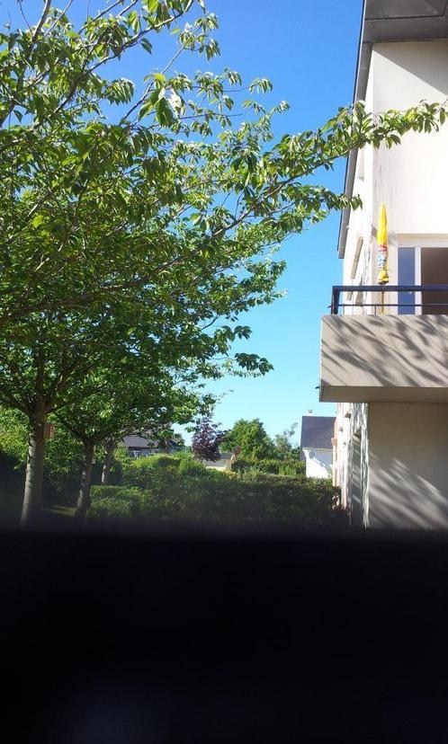 VOOR HET WEEKEND OF DE FEESTDAGEN in Frankrijk, Immo, Appartementen en Studio's te huur