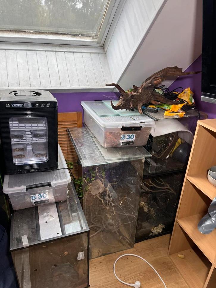 Lot pour reprile, Dieren en Toebehoren, Overige Dieren-accessoires, Gebruikt, Ophalen