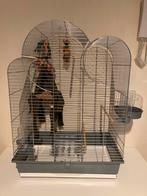 Vogelkooi met tent en speeltje, Dieren en Toebehoren, Ophalen, Nieuw, Vogelkooi