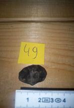 fossiles vivifiants (et NR5), Collections, Enlèvement ou Envoi