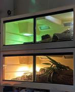 Herptek 120x60x50, Ophalen, Gebruikt, Terrarium of Paludarium