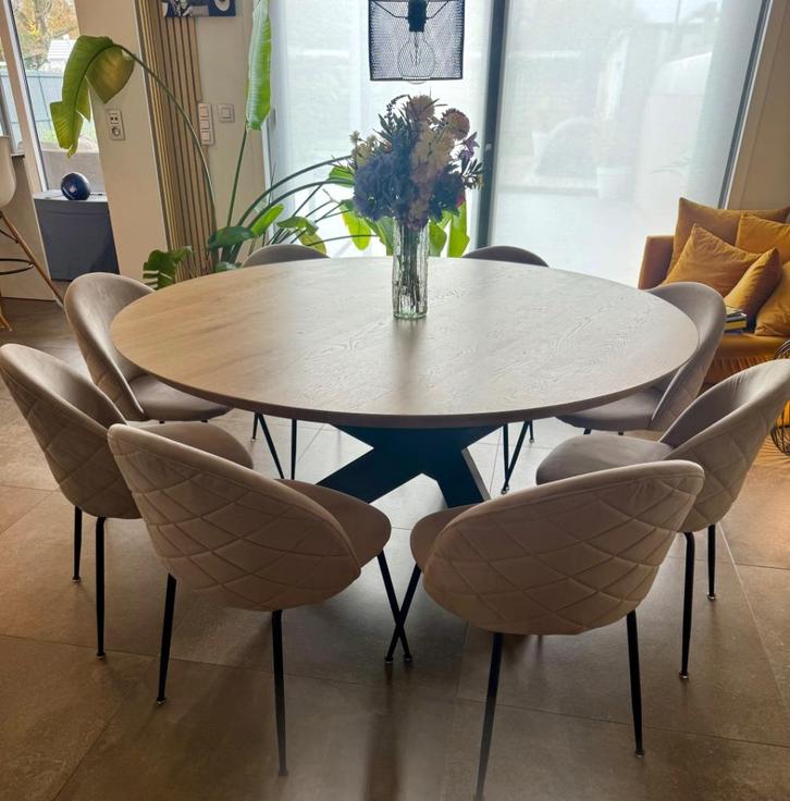 Leuke eetkamerstoelen in heel goede staat!, Huis en Inrichting, Stoelen, Gebruikt, Vijf, Zes of meer stoelen, Stof, Overige kleuren