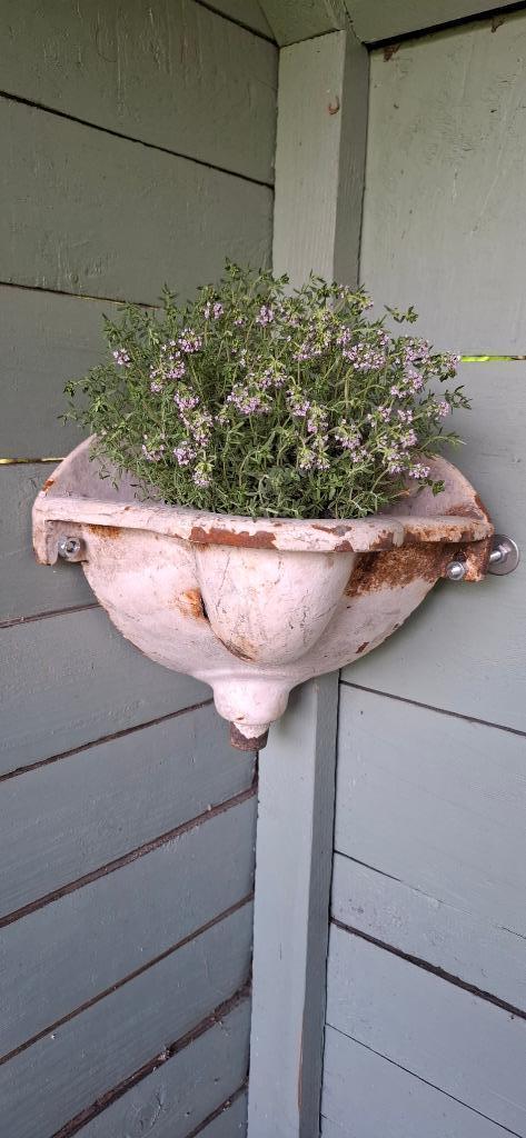 Oude gietijzeren pispot/oud urinoir/tuinornament, Antiek en Kunst, Curiosa en Brocante, Ophalen of Verzenden