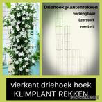PLANTENSTEUN voor rozen clematis bosrank jasmijn passieflora, Tuin en Terras, Vaste plant, Ophalen of Verzenden, Halfschaduw, Klimplanten