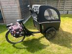 Winther elektrische bakfiets, Fietsen en Brommers, Fietsen | Bakfietsen, Ophalen, Gebruikt