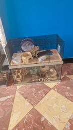 Hamster / cavia kooi met alle toebehoren, Ophalen, Zo goed als nieuw, Kooi, Hamster