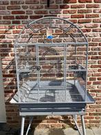Vogelkooi, Animaux & Accessoires, Oiseaux | Cages & Volières, Enlèvement, Utilisé, Métal, Cage à oiseaux