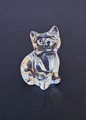 Kitten/poes Val St Lambert Katarina De Sorss beschikbaar voor biedingen