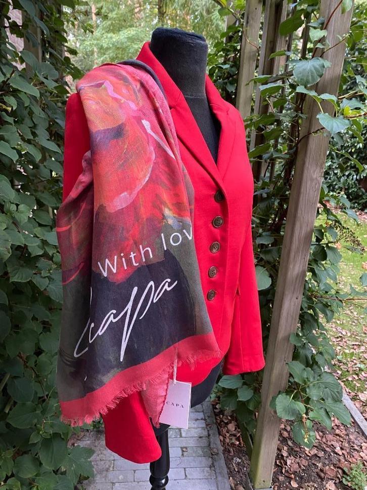 Blazer rouge SCAPA - 38, Vêtements | Femmes, Vestes & Costumes, Comme neuf, Manteau, Taille 38/40 (M), Rouge, Enlèvement ou Envoi