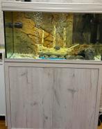 Aquarium 220 liter volle verpakking + 25 geofaagvissen, Dieren en Toebehoren, Vissen | Aquaria en Toebehoren, Ophalen of Verzenden