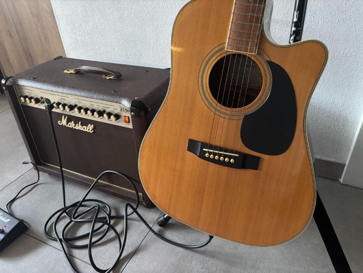 Marshall Acoustic AS501R soloist met Takamine G EG332C 400€, Muziek en Instrumenten, Snaarinstrumenten | Gitaren | Akoestisch
