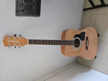 Superb Richwood Artist serie gitaarset + geluidsstatief beschikbaar voor biedingen
