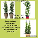 Klimsteun voor jasmijn sundaville rozen passieflora clematis, Ophalen of Verzenden, Vaste plant
