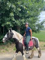 Lieve grote tinker merrie, Dieren en Toebehoren, Merrie, Minder dan 160 cm, B, Gechipt