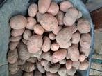 Aardappelen, Ophalen