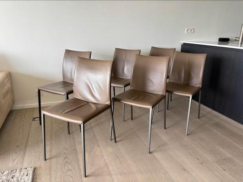 Eetkamer stoelen van Zanotta | Lia Chair, Huis en Inrichting, Stoelen, Zo goed als nieuw, Vijf, Zes of meer stoelen, Leer, Metaal