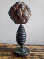 Amusante mineralen uit Argonne Marcasite Kidney 1960, Ophalen of Verzenden