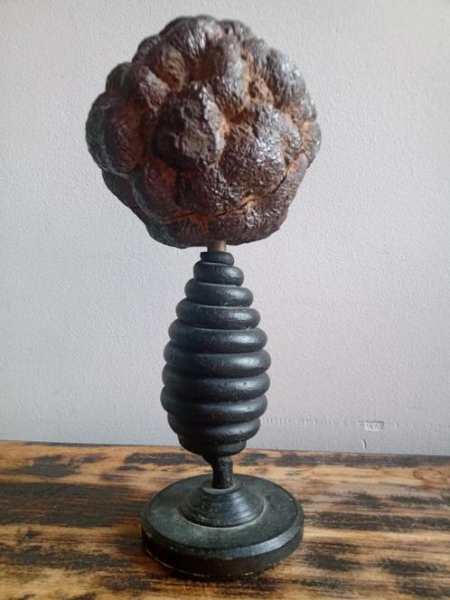 Amusante mineralen uit Argonne Marcasite Kidney 1960, Verzamelen, Mineralen en Fossielen, Ophalen of Verzenden